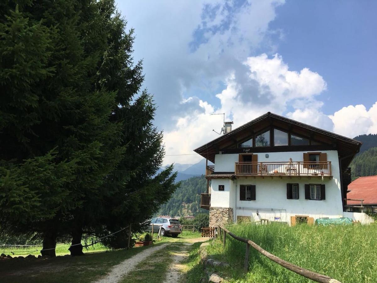 Casa Bernard Zortea Vanoi Cuore Verde Del Trentino Canal San Bovo Exterior photo